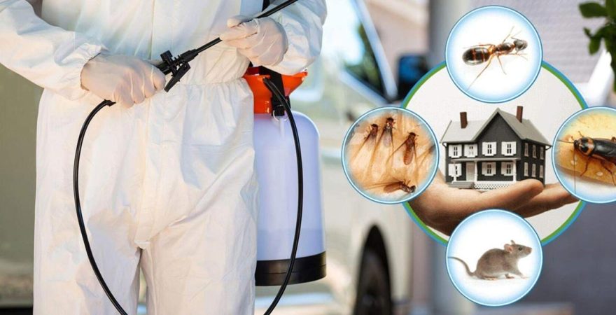 Alaplı Böcek İlaçlama