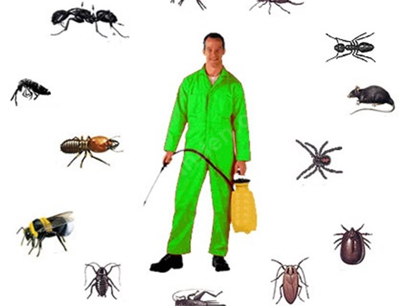 Alaplı Böcek İlaçlama